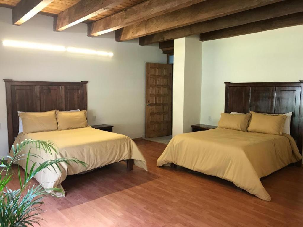 Cortijo La Casona & Bungalow Al Pie De La Montana San Cristóbal de Las Casas Eksteriør billede